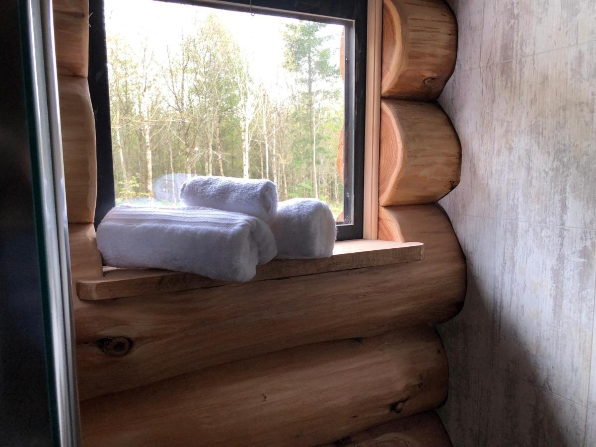 Coed Y Marchog Woodland Retreat Villa Hereford Dış mekan fotoğraf