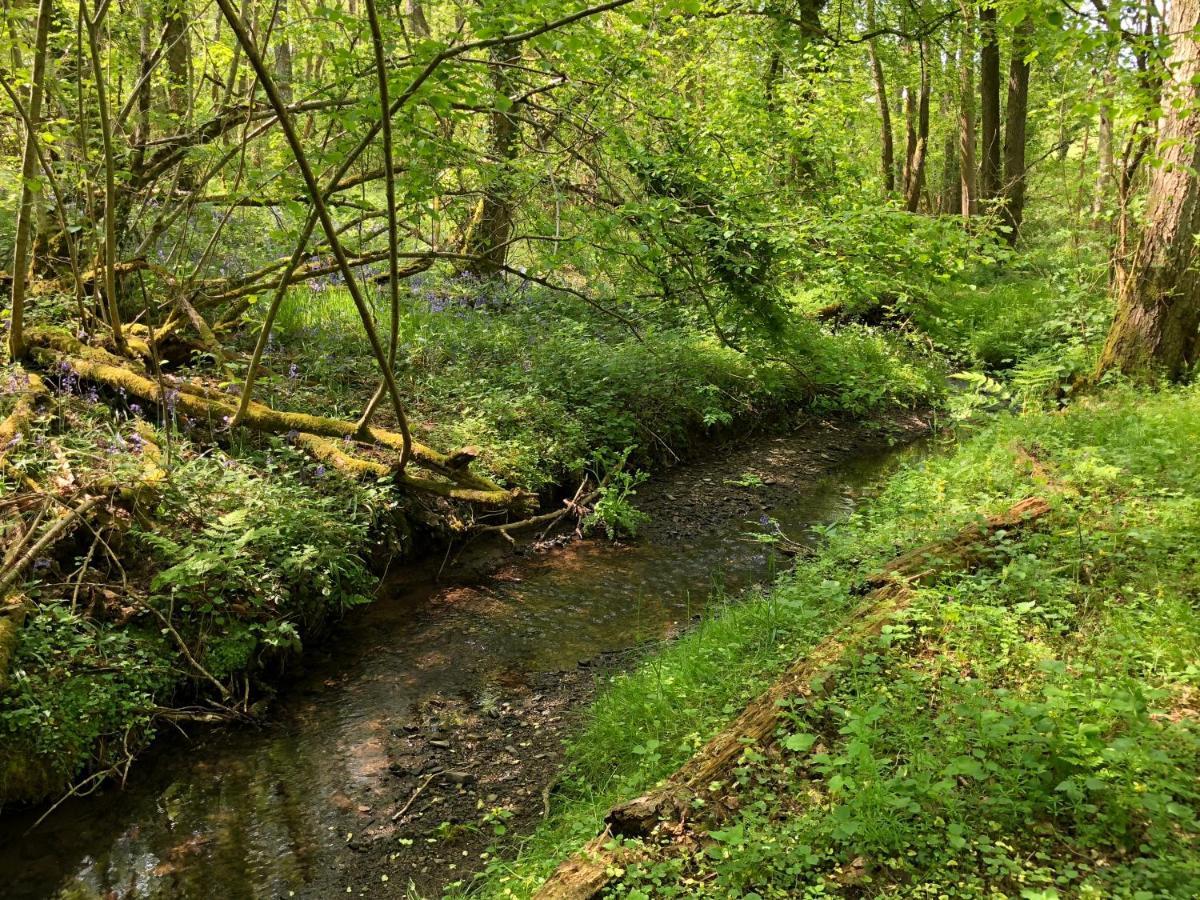 Coed Y Marchog Woodland Retreat Villa Hereford Dış mekan fotoğraf