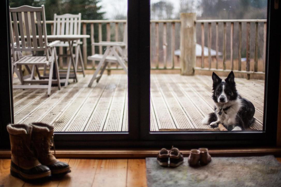 Coed Y Marchog Woodland Retreat Villa Hereford Dış mekan fotoğraf