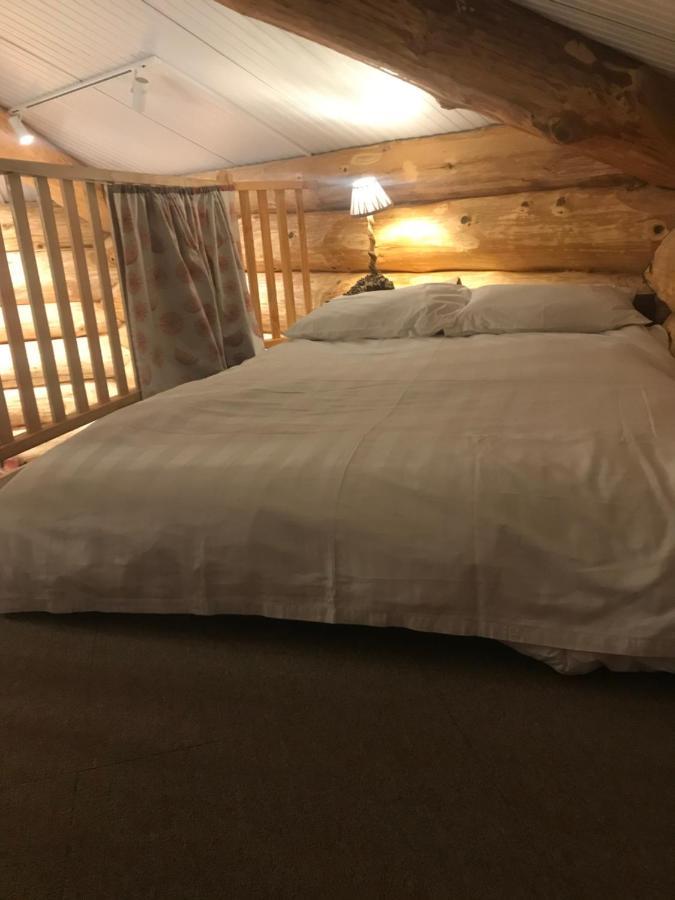 Coed Y Marchog Woodland Retreat Villa Hereford Dış mekan fotoğraf
